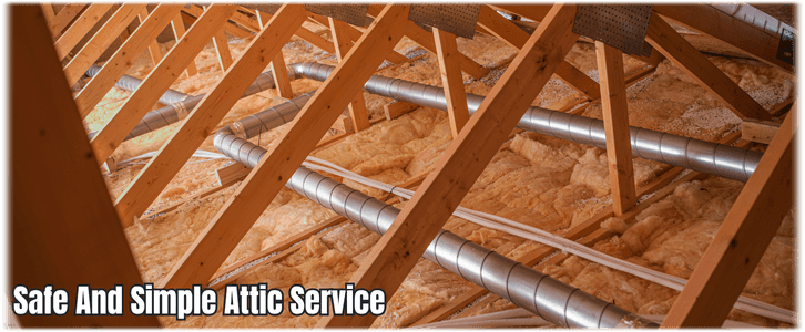 Attic Cleaning Cary IL